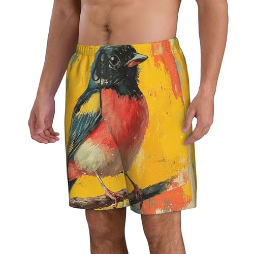 Men's Swim Trunks Beach Board Shorts Swimming Quick Dry - Colorful Birds Retro2
