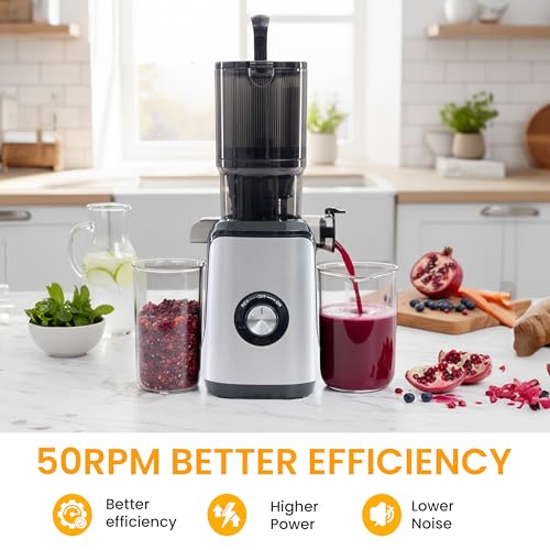 HealSmart Slow Masticating Cold Press Juicer