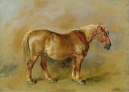 Cuadro en lienzo Suffolk Punch de 60x90cm para solucionar la falta de decoración en tu oficina