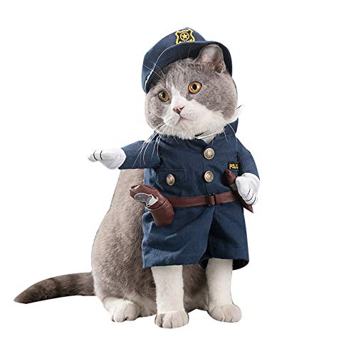 Disfraz de gato chino