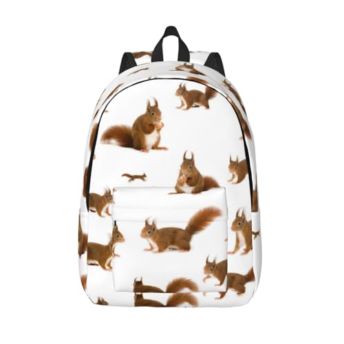 Sac à dos de transport pour ordinateur portable écureuil抗震防摔女性背包