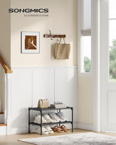 Image of SONGMICS Shoe Rack, 2-Tier Shoe Storage Organizer, Space-Saving, 11.7 x 16.5 x 12.2 Inches, Entryway, Metal Frame, Non-Woven Fabric Shelves, Ink Black ULSH012BH01