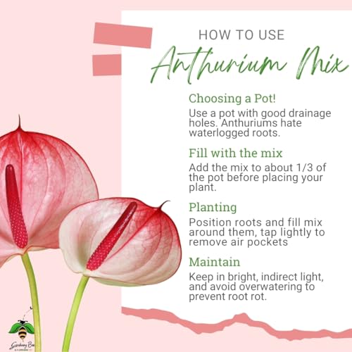 Image of Anthurium Soil Mix (900G), Ideal Soilmix for Anthuriums, 100% Natural and Organic, Ideal Potmix, Potting Mixture, Aroid Potting Mix, Ready to Use, Well Drained Mix (900 gram)