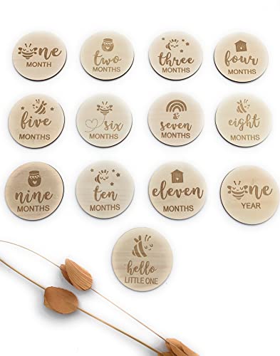 Image of Funny Baby Monthly Milestone Announcement Cards | 13 Round Wooden Double Sided Signs | Gender Neutral Gifts | Baby Shower | Fun Photo Props | Baby Registry | Pregnancy Gift | Baby Photo Props