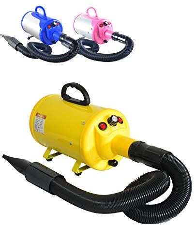 Gravitis Pet Supplies 2800w Professional Pet Hair Dryer with Hose: Powerful Blaster Dog Dryer with Variable Speed (Yellow)