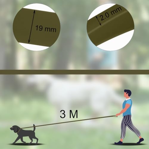 Laisse de dressage imperméable grand chien robuste longe 3m Wolfone