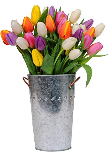 Stargazer Barn- American Grown Firework Bouquet -30 Fresh Bright Colored Tulips with Vase