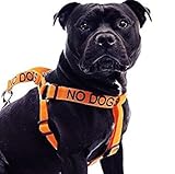 No Dogs Orange Color Coded Alert L-XL Non pull Dog Harness (Not Good With Other Dogs) Prevents Accidents By Warning Others of Your Dog in Advance