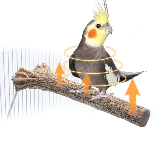 Heated Bird Perch for Cage Bird Perch Bird Warmer Cage Heater for African Grey, Parakeets, Cockatiels, Amazon Parrots, Medium Exotic Parrot