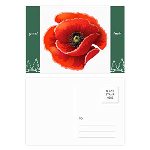 Jeu de cartes postales pavot rouge DIYthinker lot 20 exemplaires