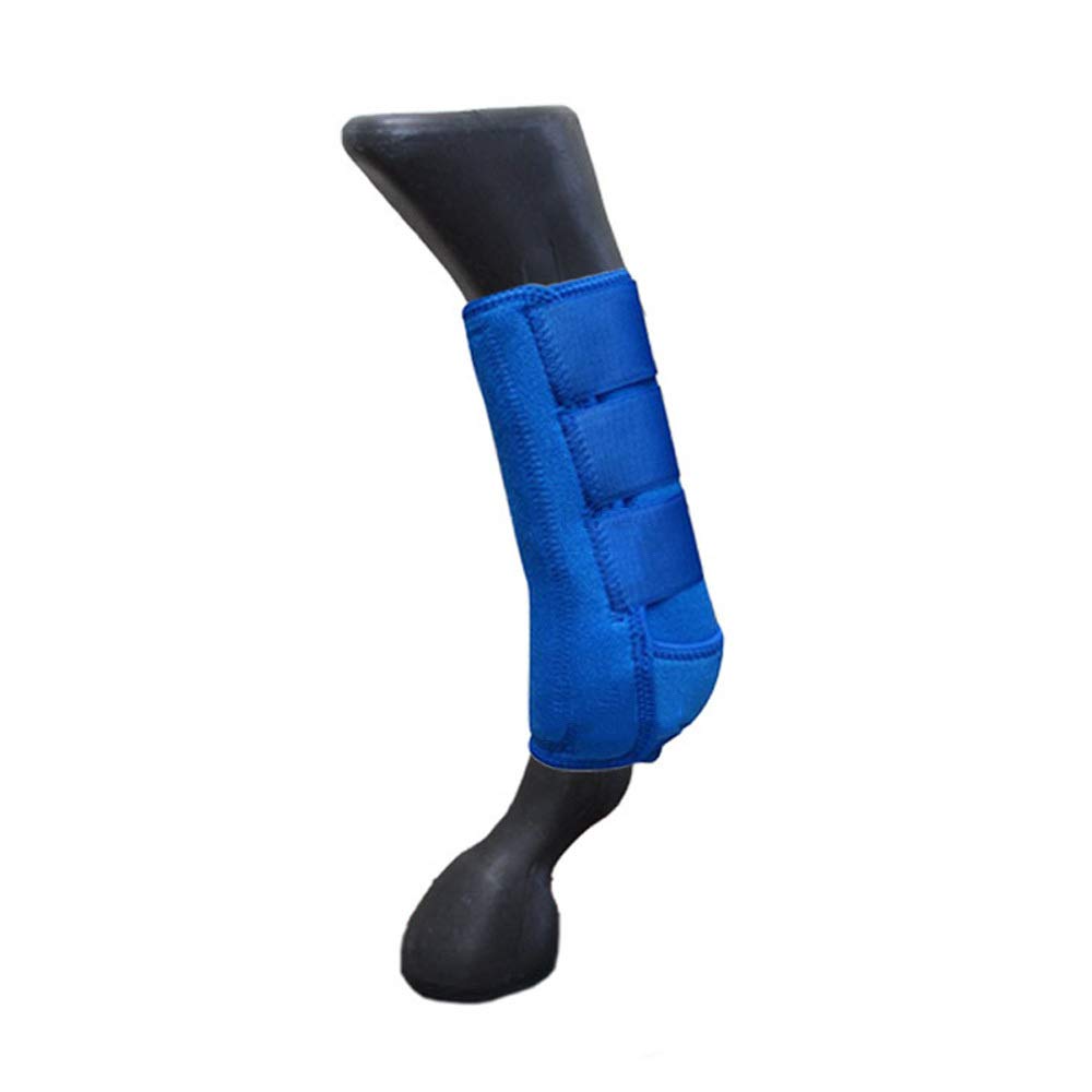 Forniture Equestri Gambali per Cavalli,Blue-M