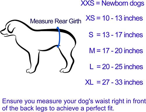 Image of In hand Washable Durable Male Dog Diapers(Pack of 3), Premium Reusable Belly Bands Belly Wrap for Male Dog, Comfy Doggie Diapers