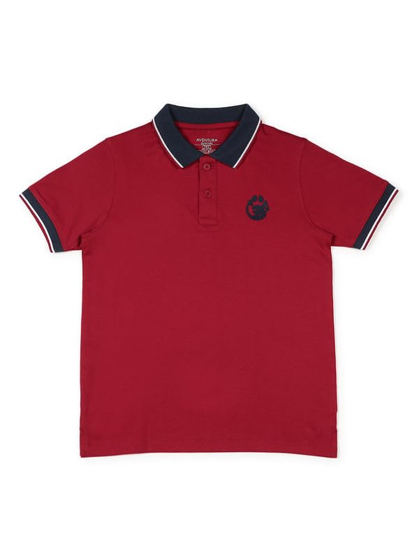Image of Aventura Boys Polo T-Shirt Combo Pack of 2 - 100% Cotton Half Sleeve Collar T-Shirts for Boys (Age 5-12 Years)