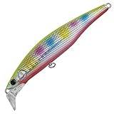 パームス(Palms) ミノー ゼッツ エフリード 92SR 92mm 26g チャートバックレインボー H-537 ルアー