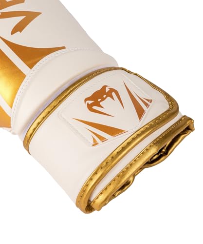 Image of Venum Challenger Boxing Gloves