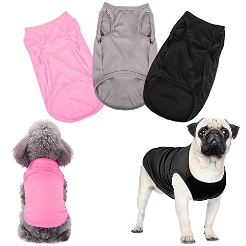 Lista De Ropa De Perro Salchicha Disponible En Línea. | Las Mejores Reviews  De Productos