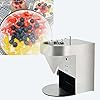 Máquina para hacer perlas Boba, 50 kg/h Máquina para hacer perlas de tapioca automática Máquina para hacer perlas de tapioca Máquina para hacer perlas de té de burbujas Herramienta para moldear Boba