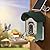 ChirpingPal™ AI Smart Bird Feeder with Camera | 2.5K HD Live View & Photos | Night Vision | 10,000+ Species ID | Solar-Powered with Built-in Battery | with Bird Bath Kit | Sage Green