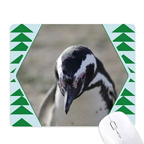Tapis de souris vert pine tree anti-glisse pour soulager le poignet