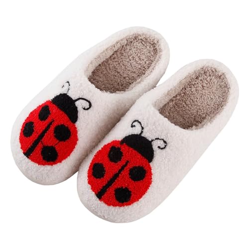 Modern Embroidered Slipper Fuzzy Cozy Memory Foam Women's Men's Couple Home Indoor House Slippers Shoes