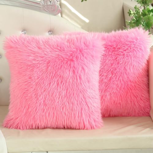 ZTYROLJ Lot de 2 Housse de Coussin en Fourrure 65x65 cm,Taie d'oreiller Ultra Douce avec Fermeture Eclair Cachée, Décoration Housse Coussin canapé Canape...