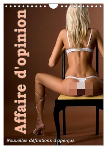 Affaire d'opinion - Nouvelles définitions d'aperçus (Calendrier mural 2026 DIN A4 horizontal), CALVENDO calendrier mensuel: Nouvelles définitions d'aperçus érotiques