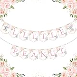 Pink Elephant Baby Shower Decorations for Girl - Little Peanut Banner, Elephant Theme A Little Peanut is on the Way Welcome Baby Girl Animal Baby Shower Decorations
