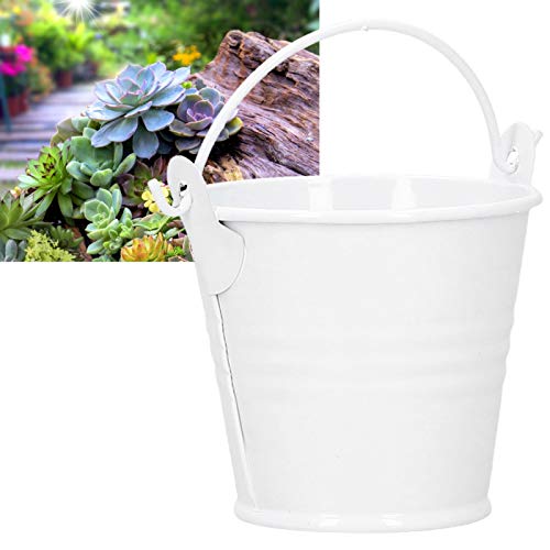 10 vasi per piante grasse piccolo secchio in metallo per decorazione interna elegante stile romantico materiale ferro piantare fiori erba decorazione tenere caramelle