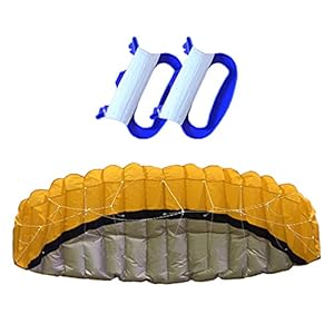 Hellery 2,5 meter Sport Parafoil Kite Kiteboard Double Line Easy Control Kitesurf Parafoil Kite Efoil Hydrofoil Surf Wing Water Toy – Geel