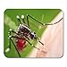 Produktbild Semtomn Mouse Pad Super Macro Gefährliches Zica-Virus Aedes Aegypti Mosquito Mousepad für Notebooks, Desktop-Computer Mausmatten, Büromaterial