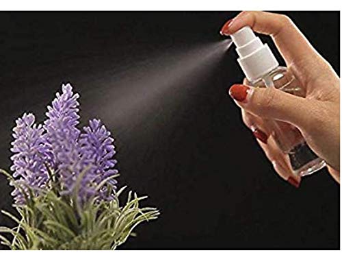 10 Pack Botellas Mini Atomizadoras 10 ml Plástico miniatura 3