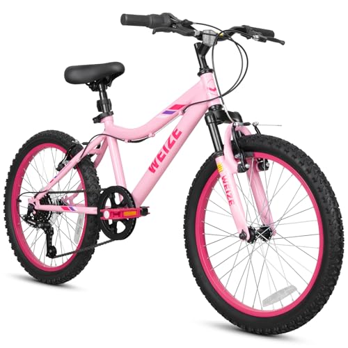 WEIZE 20 Inch Mountain Bike