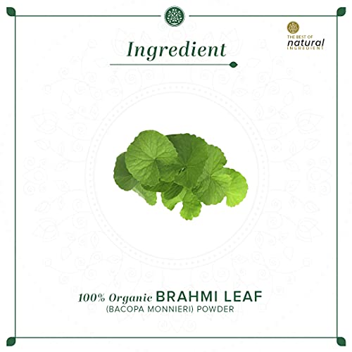 KHADI NATURAL Brahmi Leaf Organic Powder - Image 3