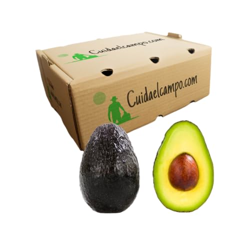 Aguacate Hass Español. Aguacate de Cuidaelcampo, Punto de Maduración correcto. Aguacates frescos seleccionados para ti