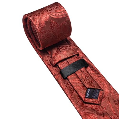 Image of Barry.Wang Paisley Tie for Men Silk Woven Necktie and Tie Clip Set Wedding Party Business Formal