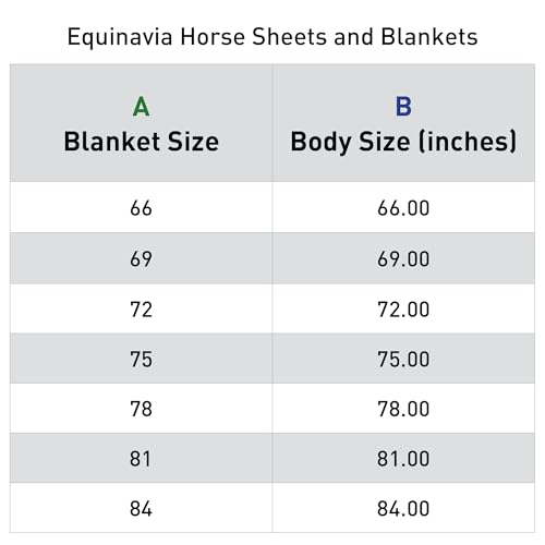 Image of Equinavia Gard Horse Fly Sheet Nylon Mesh Equine Fly Sheet for Horses, Pony | Turnout Horse Fly Sheets, Breathable Pony & Horse Sheet, Lightweight, Against Pests, Sun UV Protection, Silver Gray, 69 in