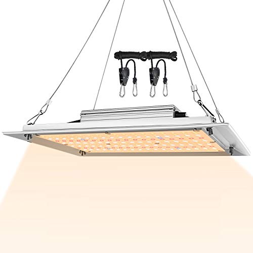 Buy 2 get 3 KQO 1200W Dimmable Grow Light Sunlike Full Spectrum Samsung Efficient Diodes for 2x2ft Grow Tent High PPFD Led Grow Lamp for Hydroponic Indoor Plants Seeding Veg and Flower