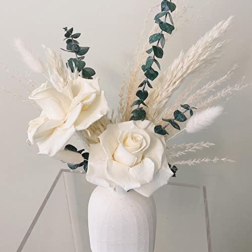 Beferr Dried Eucalyptus Stems Real 10Pcs 17'' Fresh Eucalyptus Branches Live Eucalyptus Bundle Plant Preserved Greenery For Vase Filler Home Decor #TOP6