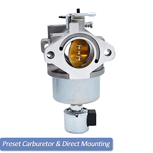 796587 Carburetor - Top View