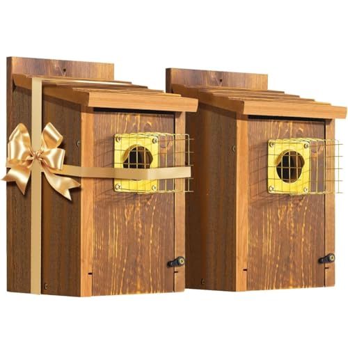 2pk Fortress Bluebird House for Outdoor Clearance - Stainless Steel Perch, Mesh Base & Brass Guard - Cedar Birdhouse for Bluebirds, Finches, Swallows Carbonized Outdoor 5 Years Usage 6'x7'