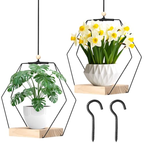 Yuragim 2 hängeblumentopf mit Holzsockel,Blumenampel Hängend Innen,Hängende Blumentöpfe mit Metallring und Aufhängeschlaufe Hängende Pflanzgefäße Aufhängehaken Inklusive für Wände und Decken Yuragim 2 hängeblumentopf mit Holzsockel,Blumenampel Hängend Innen,Hängende Blumentöpfe mit Metallring und Aufhängeschlaufe Hängende Pflanzgefäße Aufhängehaken Inklusive für Wände und Decken