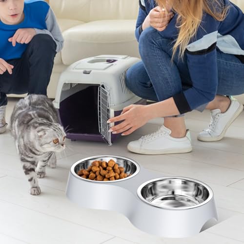 Luazvilkpsar Katzennapf Grau, Futternapf Katze 2er Set Katzennapf Erhöht aus Edelstahl Futterstation rutschfeste, Katzennäpfe Abnehmbarer Fressnapf und Wassernapf für Katzen und Kleine Hunde