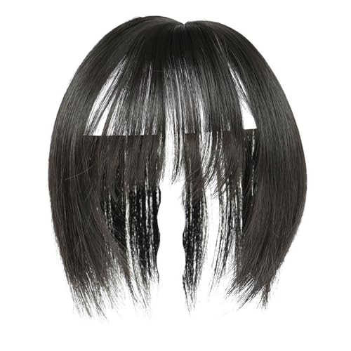 Clip en flequillo, pinza para el pelo con flequillo,Clip de pelo con flequillo tenue - Flequillo de aire natural, postizos para el cabello, flequillo corto natural para mujer, pinzas para el