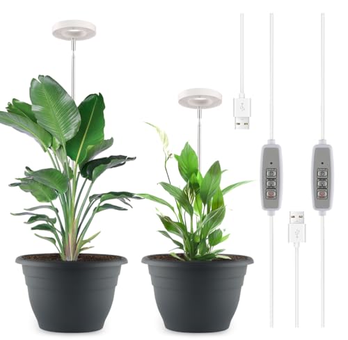 RooTrimmer Vasos de 28 cm com 2 lâmpadas LED de cultivo para plan...