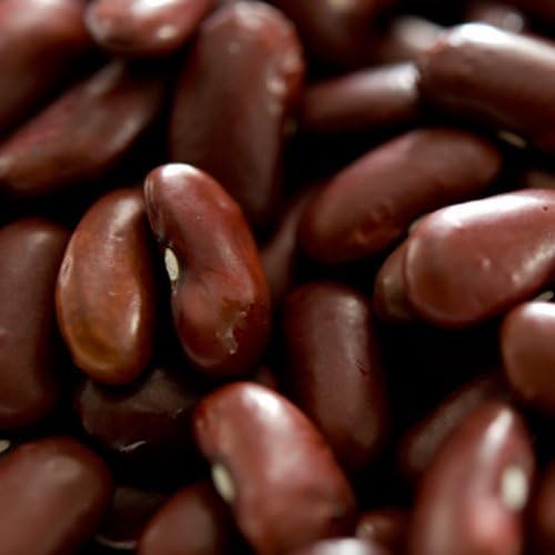 Amazon 神戸アールティー レッドキドニービーンズ kg 1kg 袋 Red Kidney Beans Rajma 業務用 金時豆 赤インゲン豆 ラジマ レッドロビア レッドキドニー 豆 乾物 神戸アールティー 乾燥豆 通販