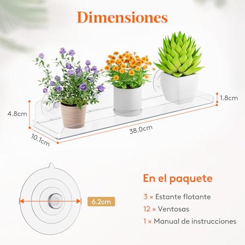 Lista de Baldas los mejores 10. 15 Imagen adicional