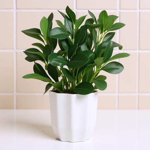 fancymart Plastic Artificial Rubber Plant With Pot Perfect For Home Decor And Office Decor, Ficus, Green
