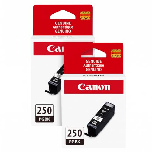 Canon PGI-250 PGBK compatible ink pack (2-pack) for multiple Canon printers