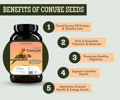 Foodie-Puppies-Conure-Mix-Seeds-Bird-Food-2Kg-Mix-Seeds-for-Parakeets-Parrots-Macaws-and-Cockatoos-Fortified-with-Canary-Seeds-Red-Chillis-Peanuts-Yellow-Proso-Sunflower-Safflower