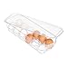 relaxdays Egg Holder Portauova, per 12 Uova, con Coperchio, Facile da Pulire, Vaschetta per Frigorifero, Plastica, Trasparente, PS